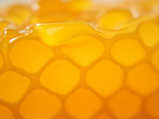 Close-up of pure honeycomb with glistening honey